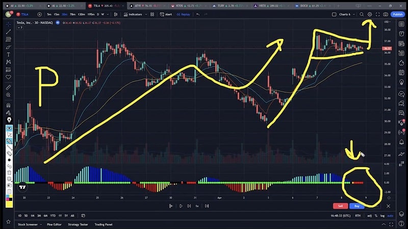 S portion of Nathans's strategy