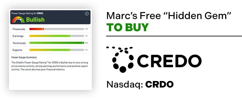 the semiconductor company Credo Technology Group – ticker symbol CRDO