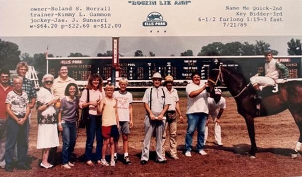 who are the swan brothers