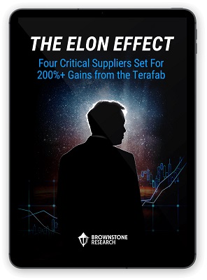 jeff brown the elon effect report