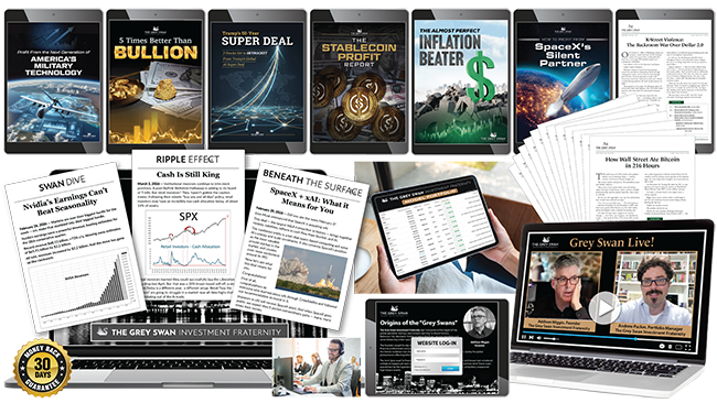 addison wiggin’s grey swan