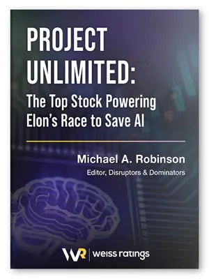 project unlimited the top stock powering elon’s race to save ai