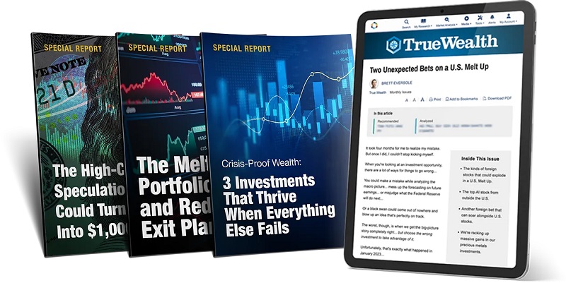 true wealth ai bubble bundle newsletter reports