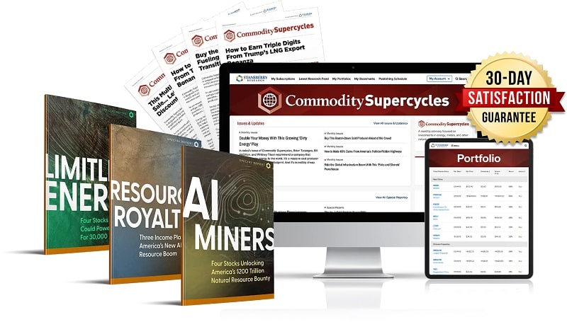 whitney tilson rushmore gold bundle with reports